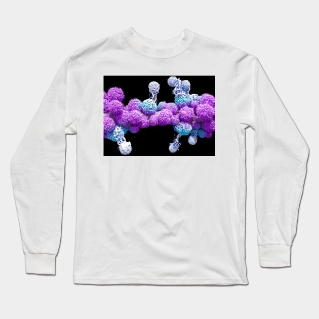 T cells attacking cancer cells (C025/6875) Long Sleeve T-Shirt by SciencePhoto